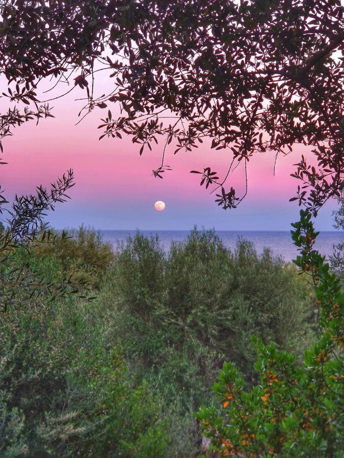 Porto Frailis Arbatax Casa Vista Mare Villa Екстериор снимка